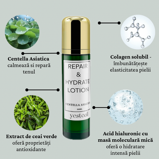 Loțiune hidratantă cu Centella Asiatica, Reynoatria Japonica, Colagen și extract de Ceai Verde