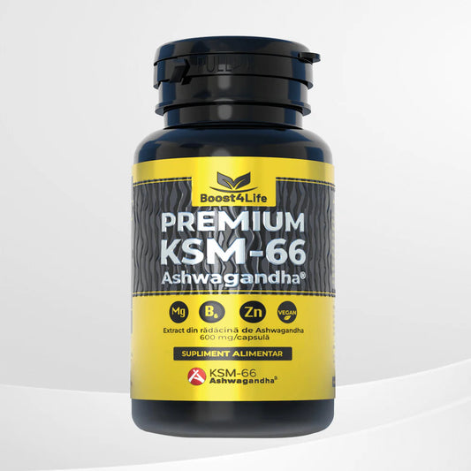 Ashwagandha KSM-66 Premium, 600 Mg, 60 Capsule Vegane