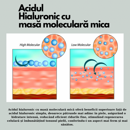 Ser Hidratant cu Acid Hialuronic Low Molecular, Ectoin, Ceramide și Extract de Aloe Vera